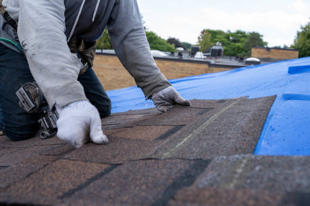 Best Shingle Roofing Installation  in Coquille, OR